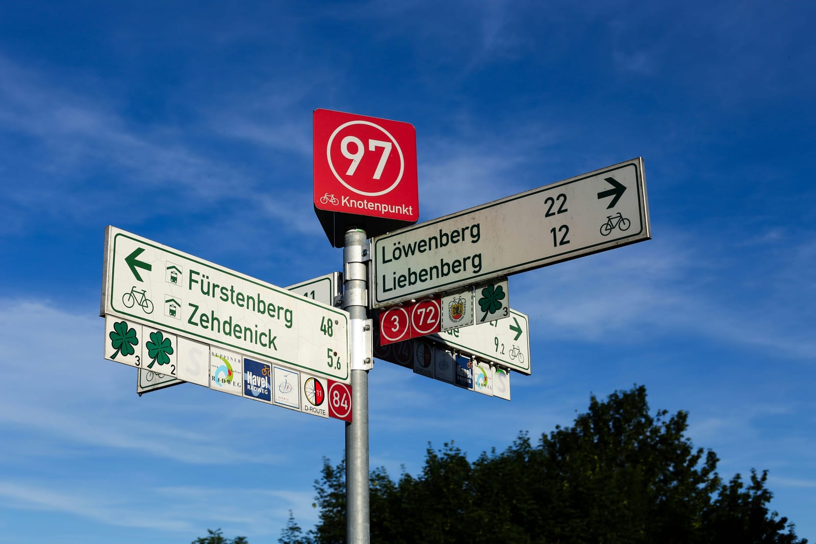 Understanding German Residence Permit Options: Blue Card Path in 2026